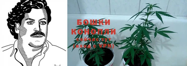 крисы Усмань