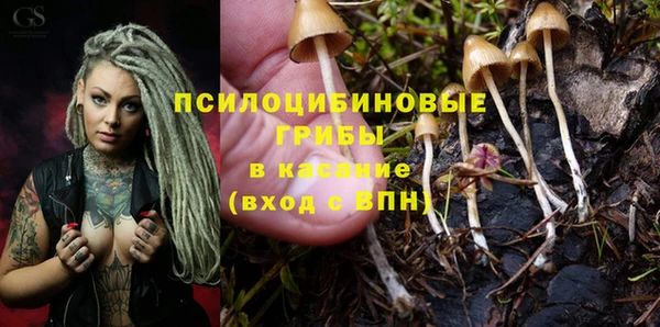 бутират Белокуриха