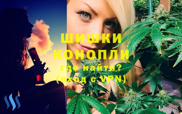 бутират Белокуриха