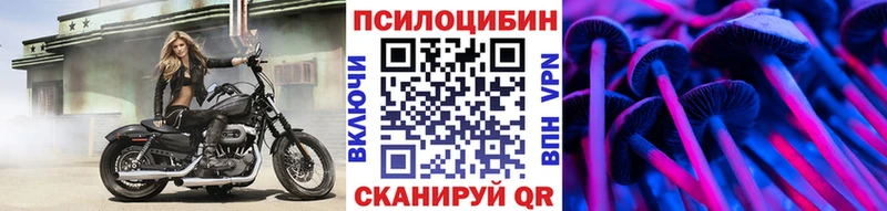 Псилоцибиновые грибы мухоморы  купить   KRAKEN ССЫЛКА  Козельск 